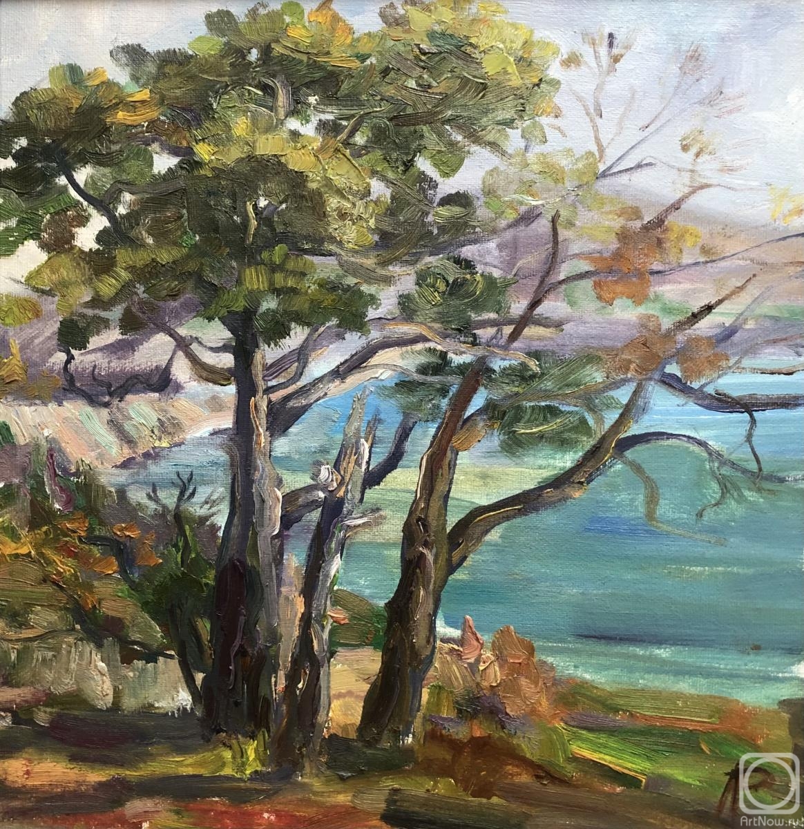 ������� ������ �� ������. ������ �����. ����