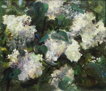 Rozhina Lilia Dmitrievna. White lilac