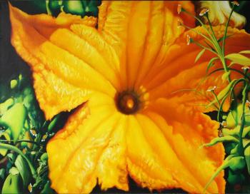 Pumpkin flower. Grechina Olga