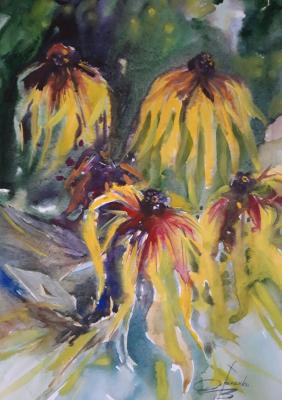 Rudbeckia (Beautiful Flowers In Watercolor). Orlenko Valentin