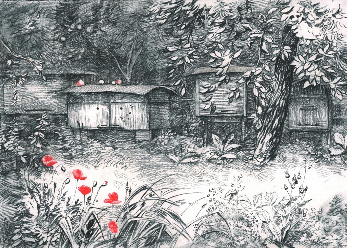 �������. ������� �������. ��������� ������