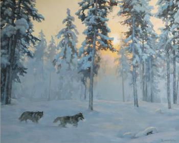 Frosty morning. Wolves. Volkov Sergey
