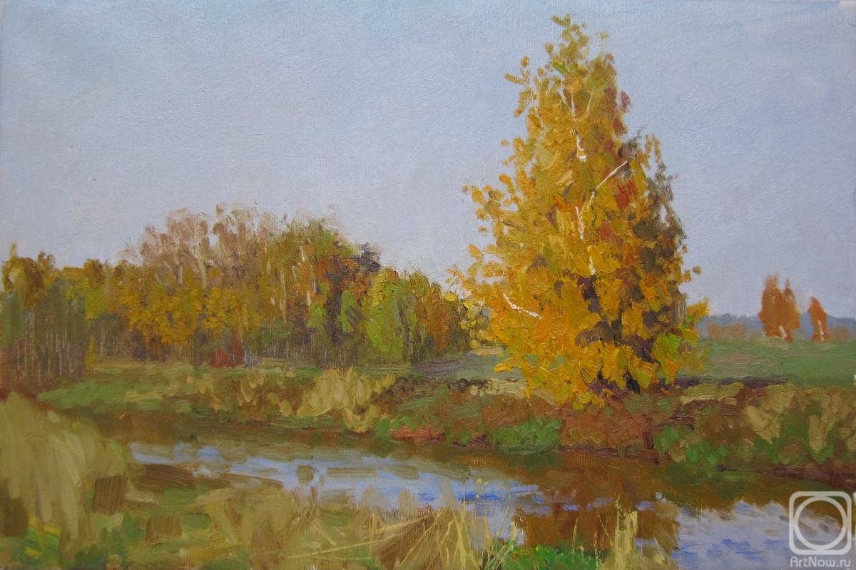 Chertov Sergey. Autumn. Birch trees on the Bank of the Klyazma river (etude)
