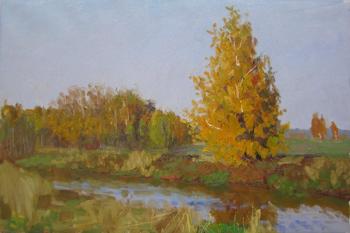 Autumn. Birch trees on the Bank of the Klyazma river (etude)