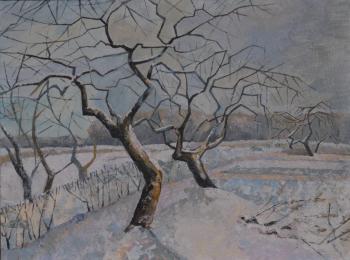 Winter. The series "Seasons". Pashutina Anastasiya