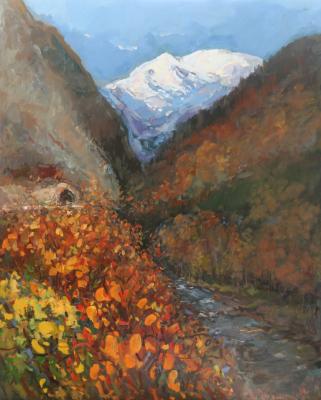 On the way to Krasnaya Polyana