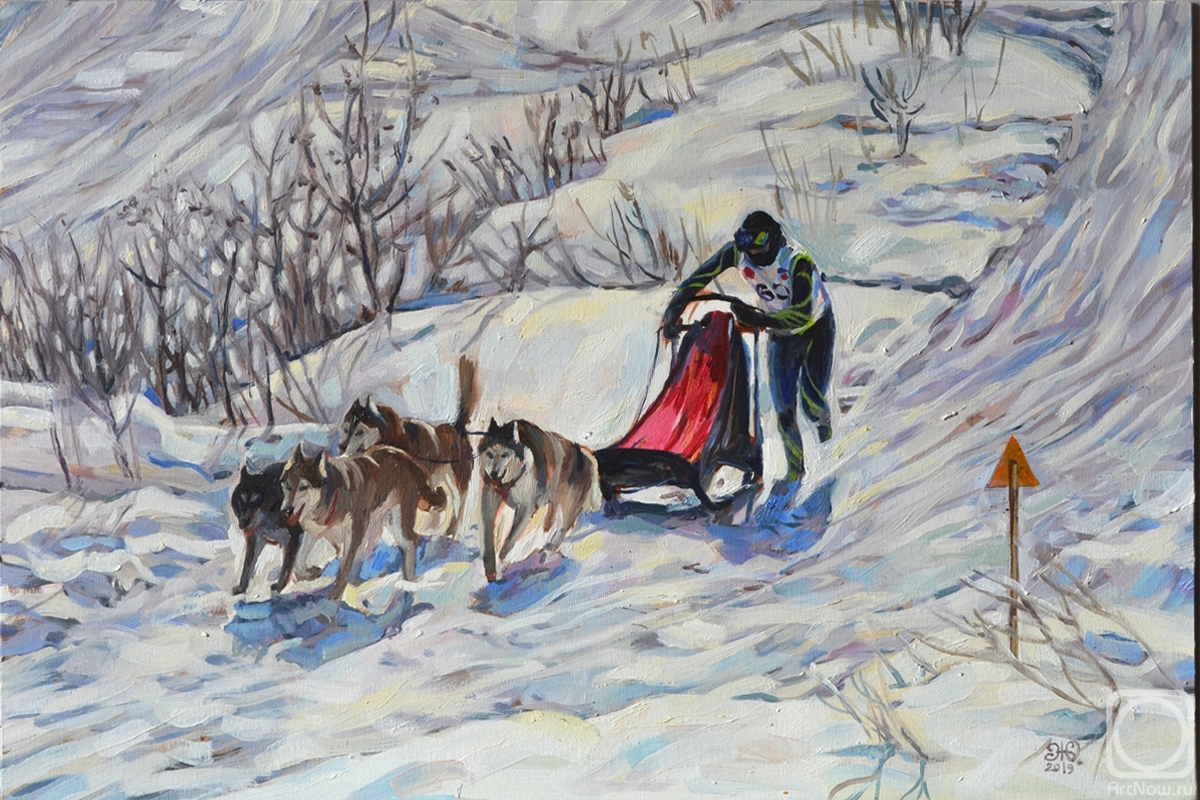 Zhukovskaya Yuliya. Dog sledding races