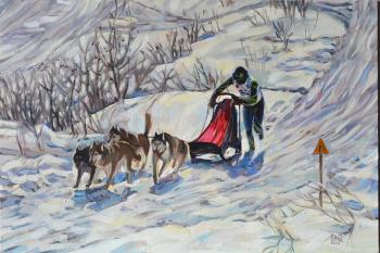 Dog sledding races (  ). Zhukovskaya Yuliya