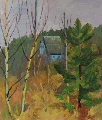 Abandoned house in November