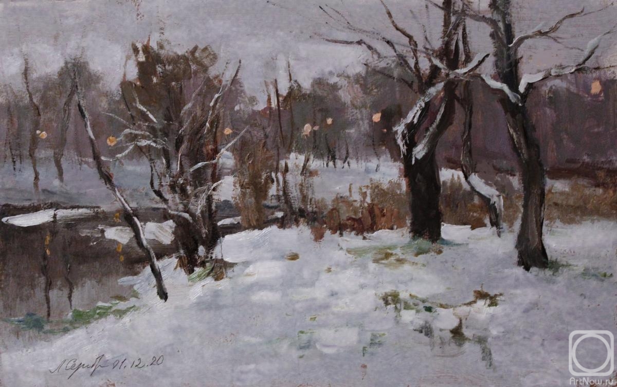 Serebrennikova Larisa. The first day of winter