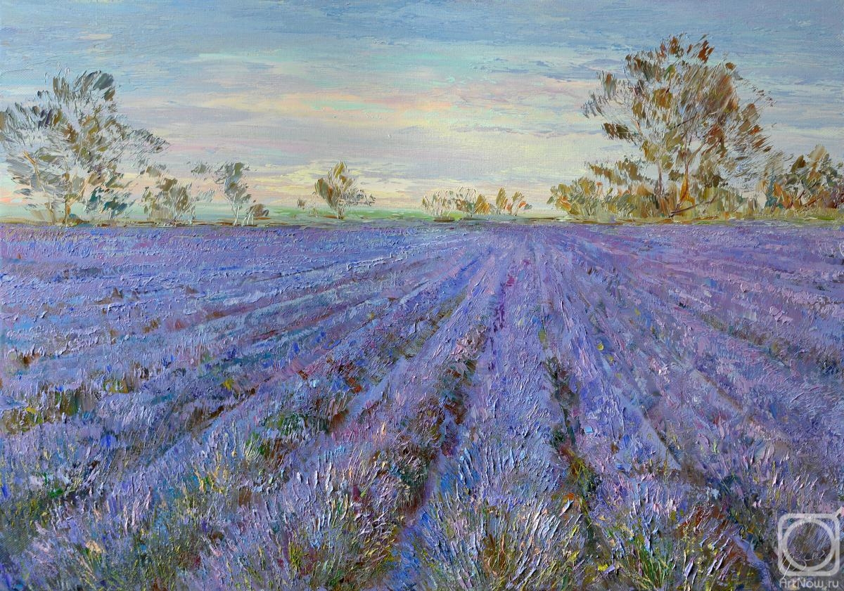 Kravchuk Vladislav. Lavender Field