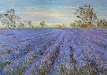Lavender Field. Kravchuk Vladislav