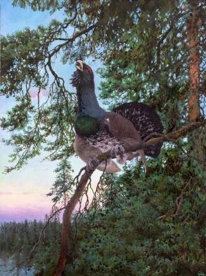 ���� ��� ������� ����. ������� ����