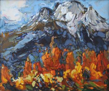 In the mountains of Krasnaya Polyana