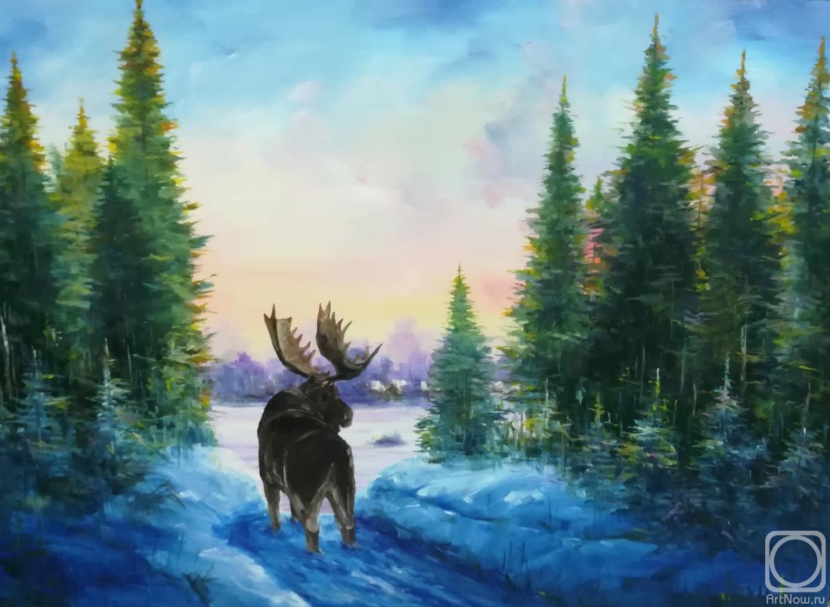 Miftahutdinov Nail. Moose in the winter forest