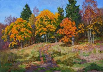 Autumn palette. Panteleev Sergey