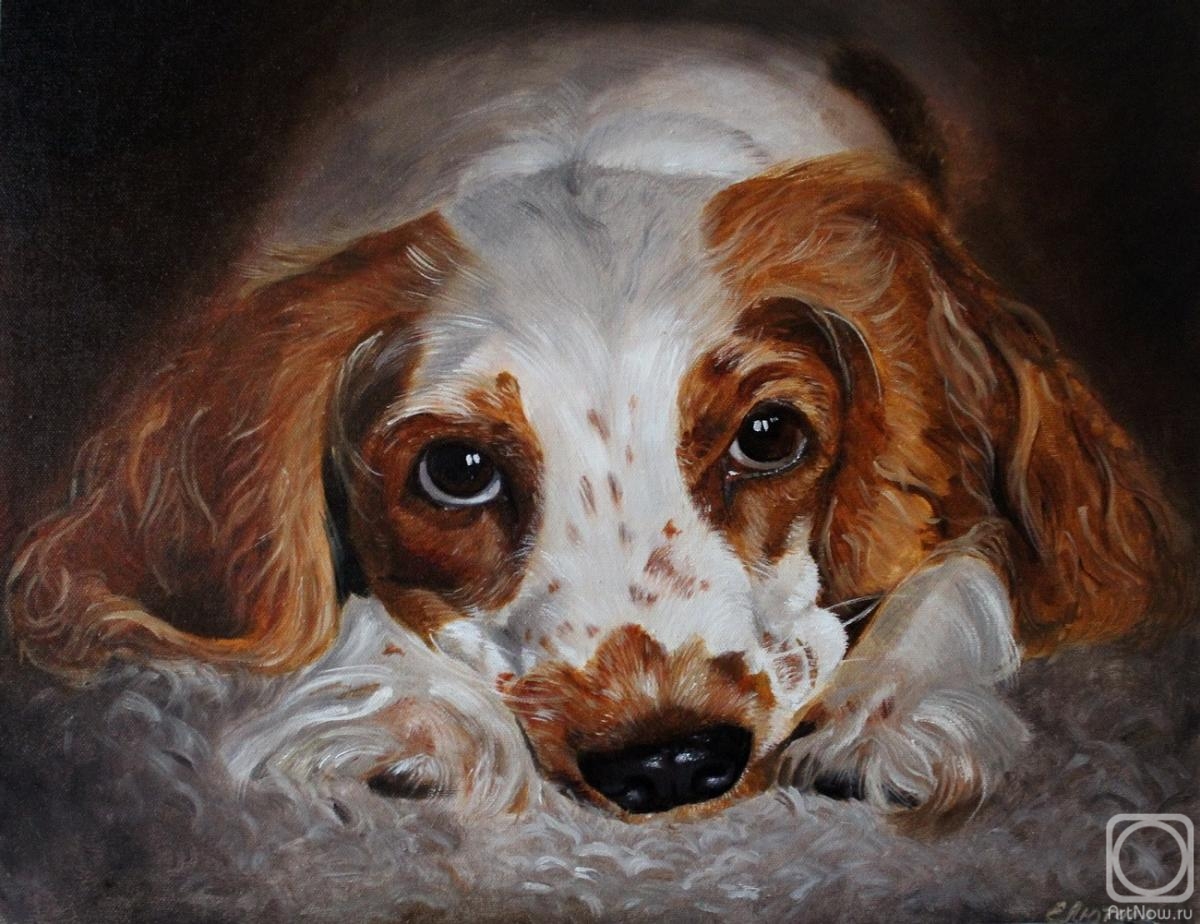 ������� ������ �� ������. ������ �����. ����� �����