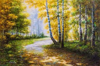 Autumn walked along the paths of the park (Walking Paths). Kamskij Savelij