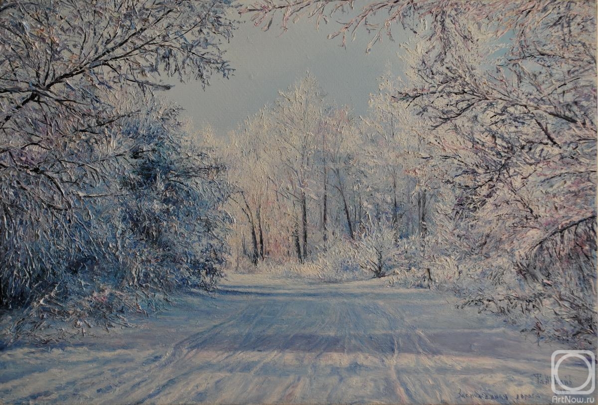 Vokhmin Ivan. Snow-covered road