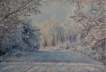 Snow-covered road. Vokhmin Ivan