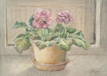 ������ � ����. ��������� �������