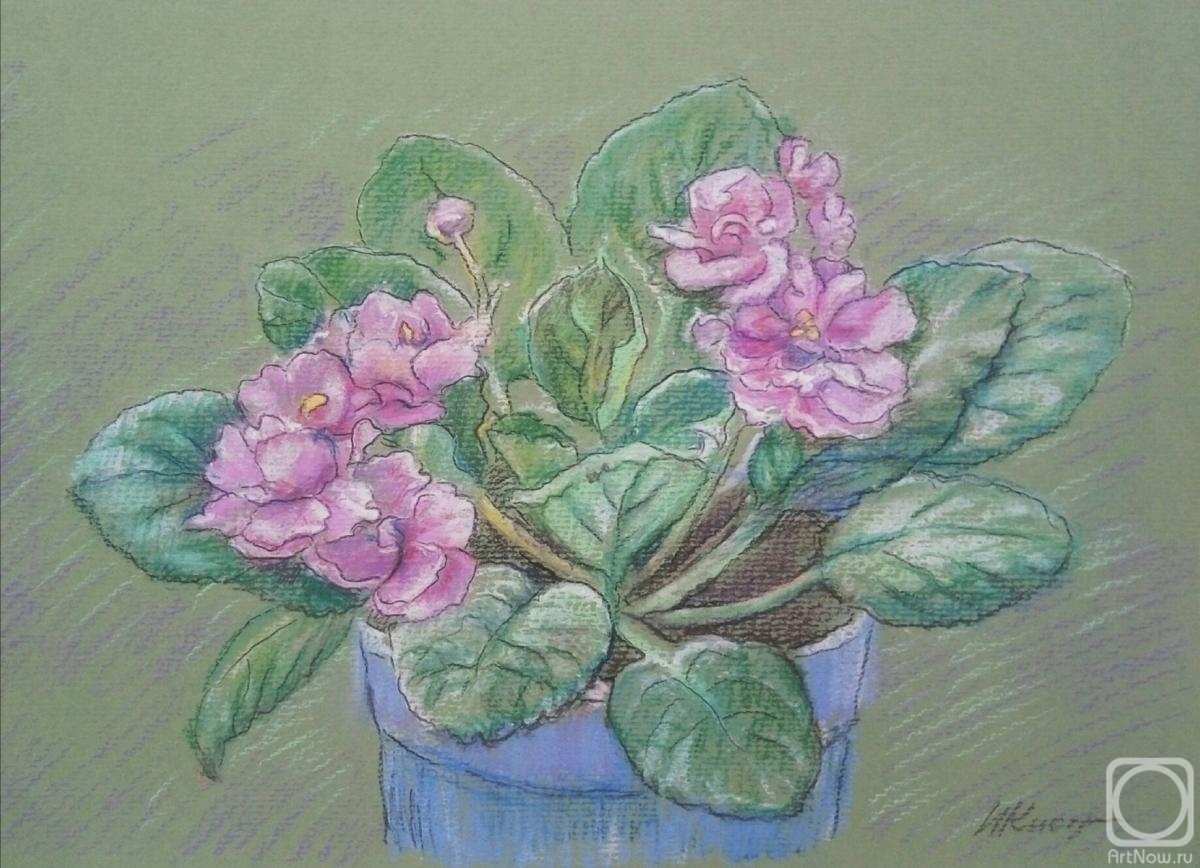 Kistanova Nadezhda. Pink violet