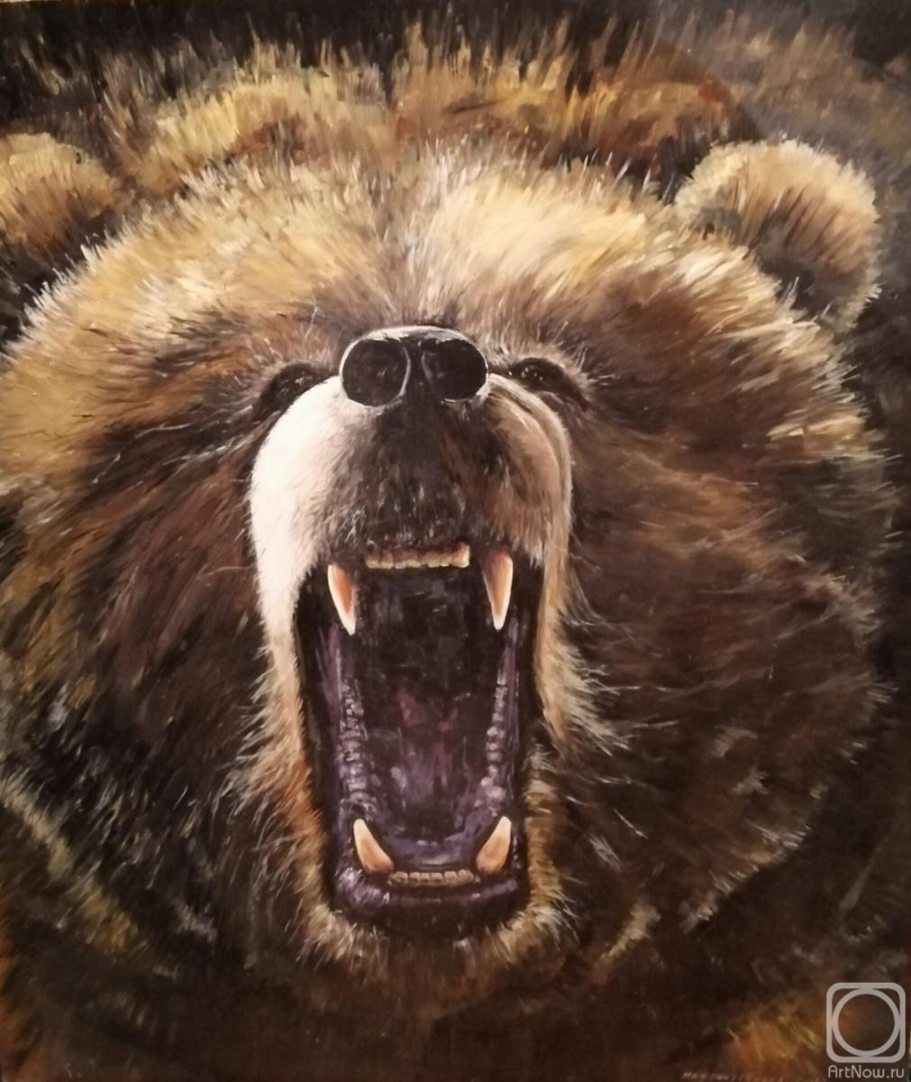 Miftahutdinov Nail. Bear's mouth