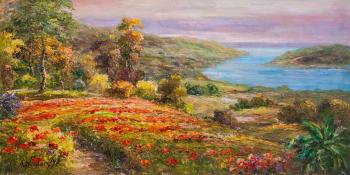 Poppy fields of the Mediterranean (Beautiful Fields). Vlodarchik Andjei