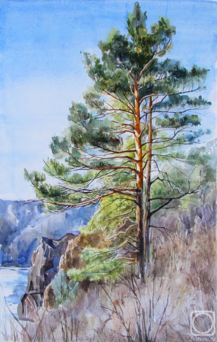 Yudina Ekaterina. The pine