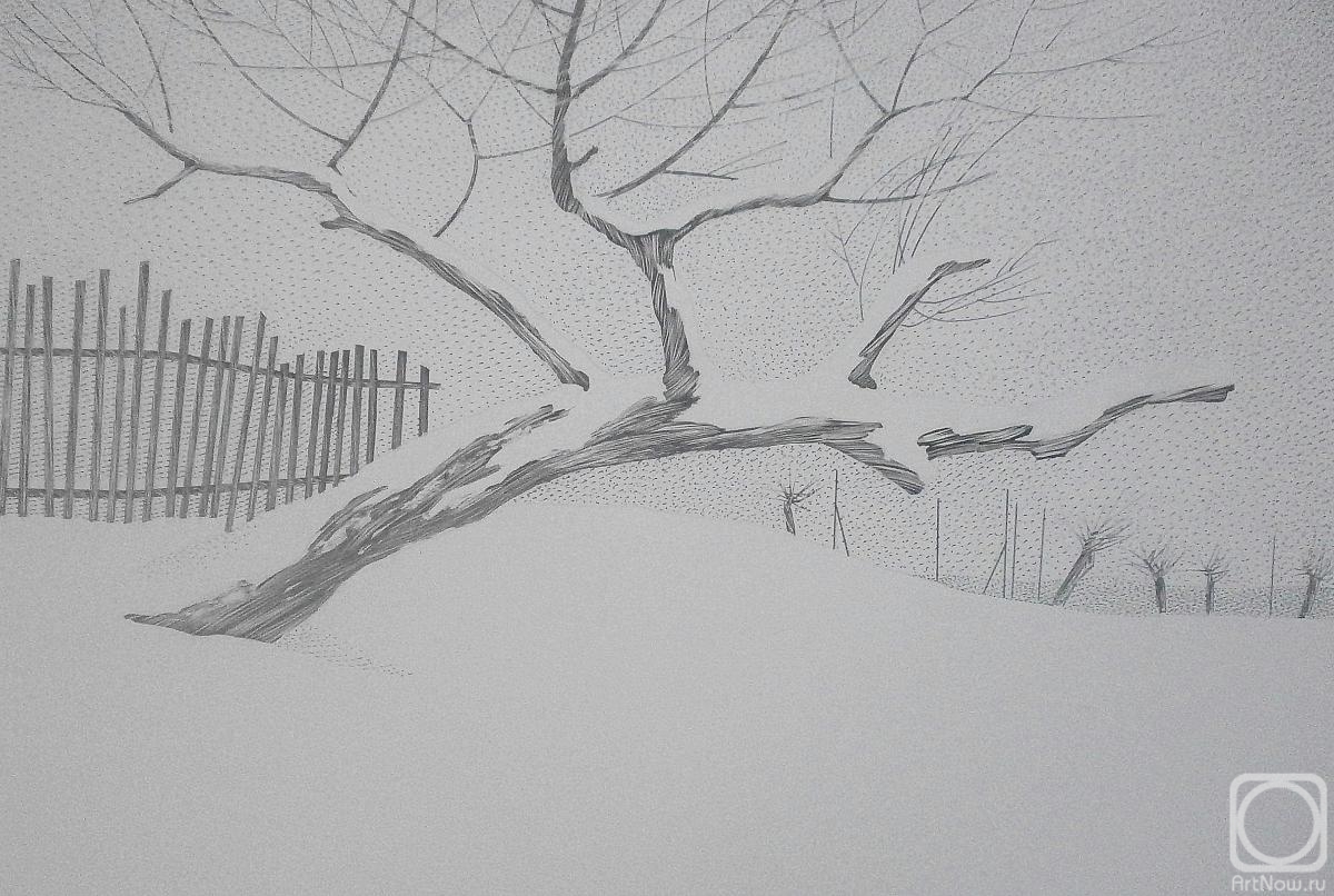 �������. �������� ����. ����. �������