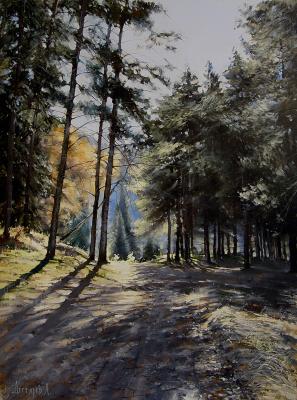 At the foot of the mountains