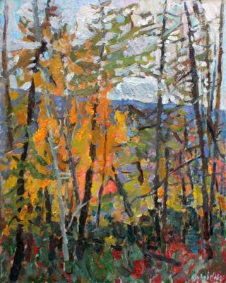 ������ ��������. ������ ����