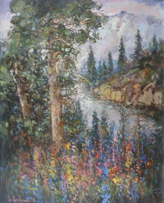 Siberian cedar. Otroshko Aleksandr