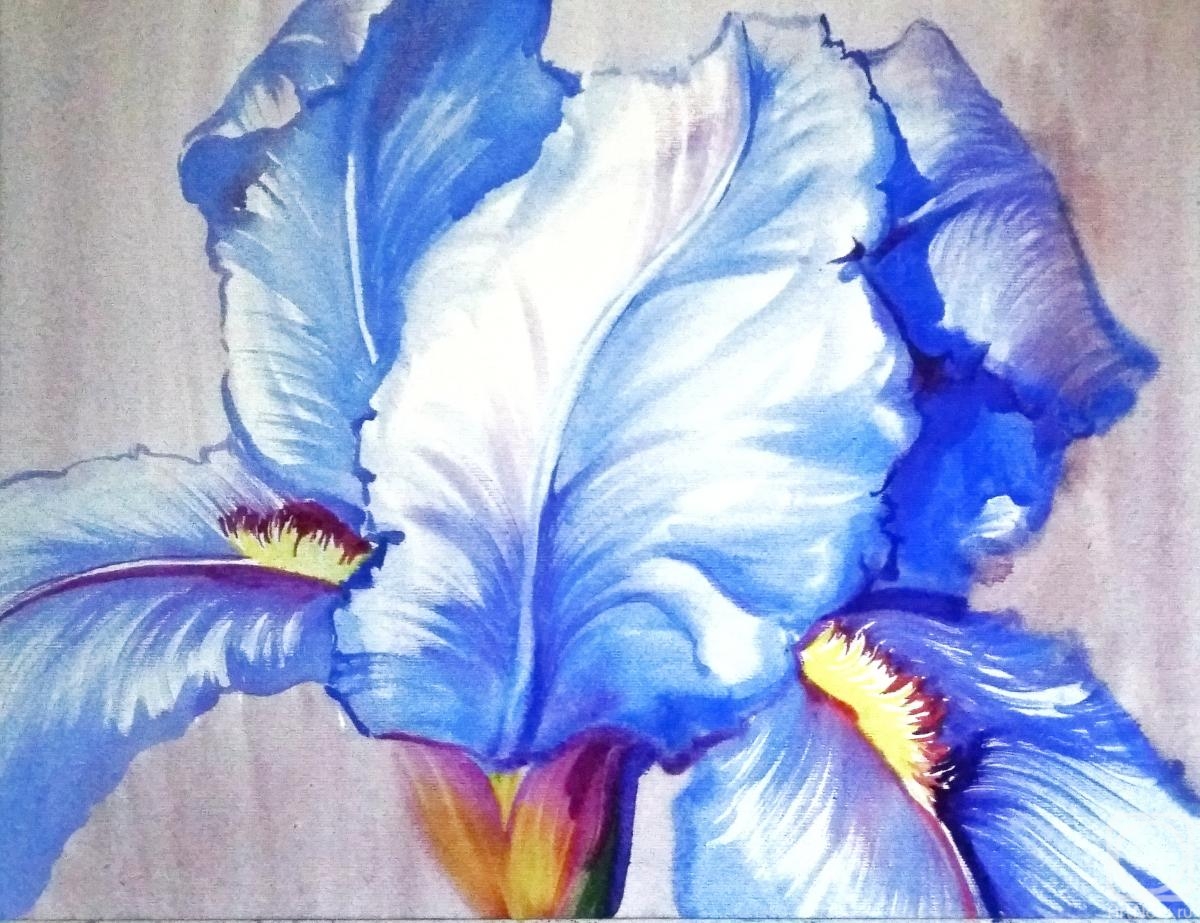 �������. ���������� ���������. ����