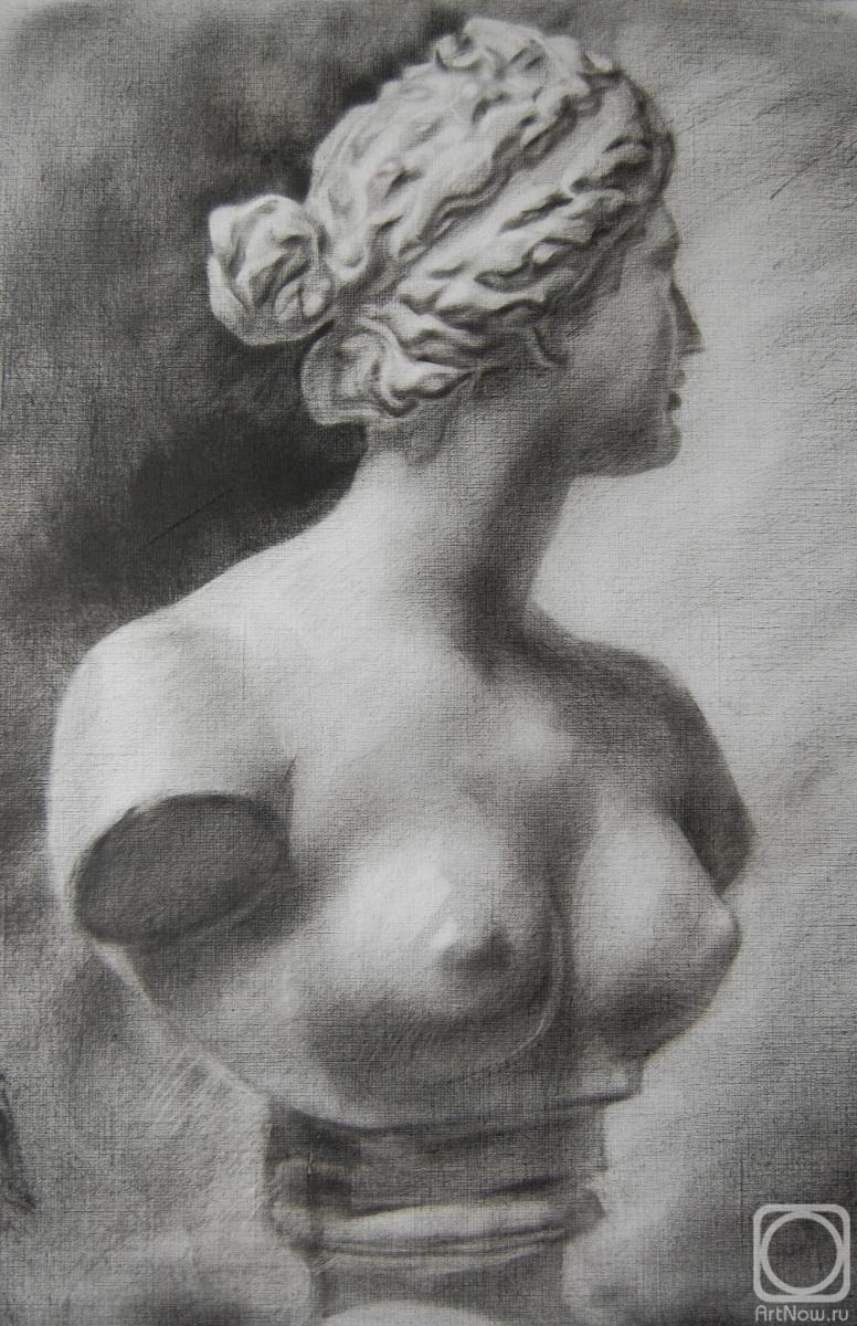 Dobrovolskaya Gayane. Venus bust in profile