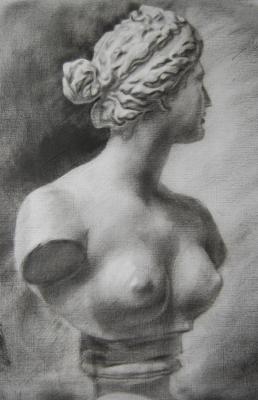 Venus bust in profile