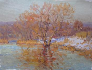 Winter evening on Borisov ponds. Mytishchi (etude)