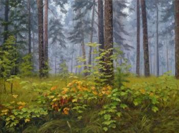 ������� ������ � ����