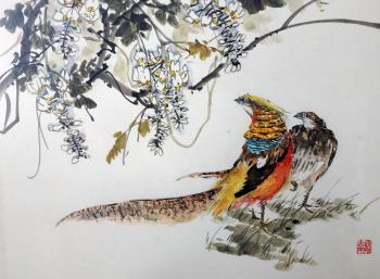 Wisteria and Golden pheasants