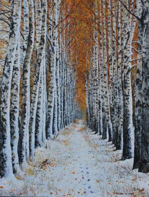 Leaves and snow. Vokhmin Ivan