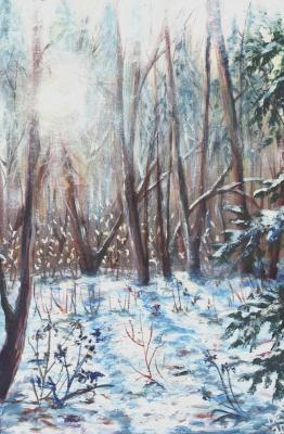 Lunaria in Winter Forest