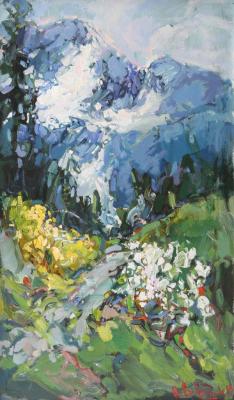 Winter in the mountains