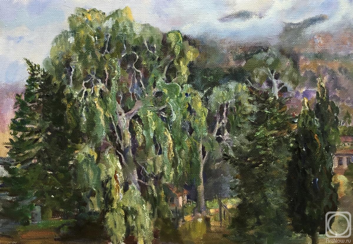 Rozhina Lilia. Eucalyptus trees. Abkhazia
