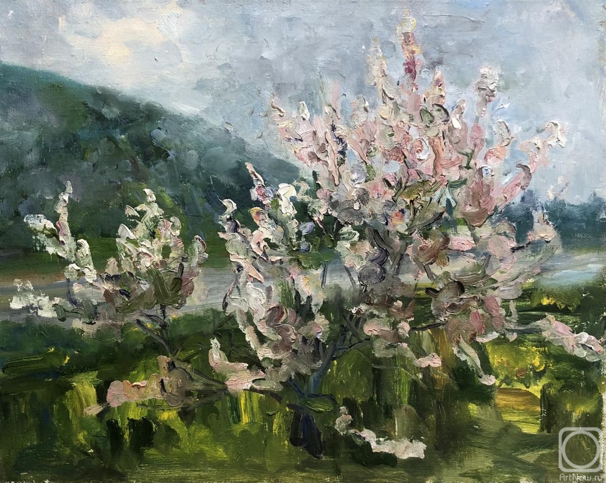 ������� ������ �� ������. ������ �����. �������� ������