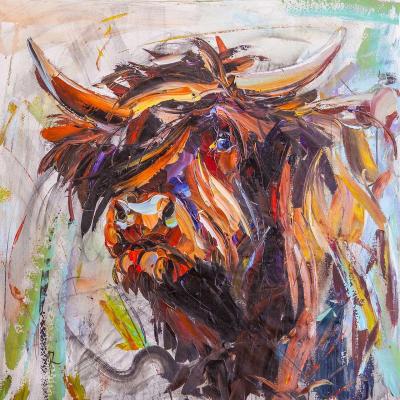 Scottish bull. Rodries Jose