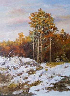 Evening. The first snow. Dorofeev Sergey