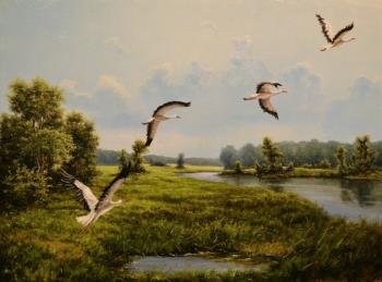 �������