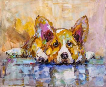 Corgi. Waiting for the owner N10. Rodries Jose