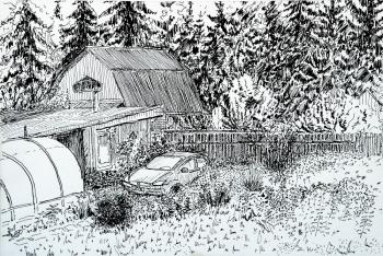 ������� ��� ����