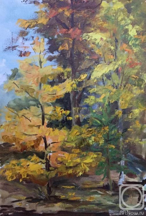 ������� ������ �� ������. ����������� �����. �����